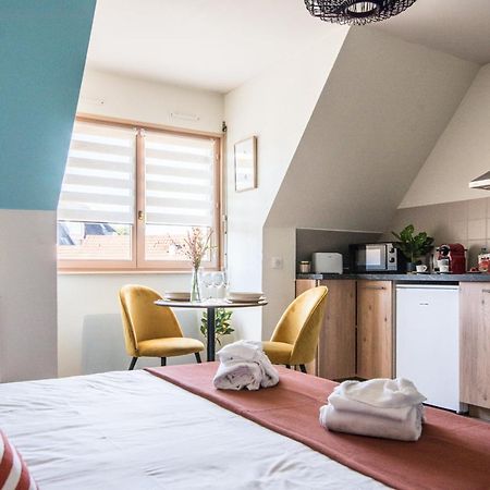 Appartamento Lumineux - L'Oasis - Parking Prive Strasburgo Esterno foto
