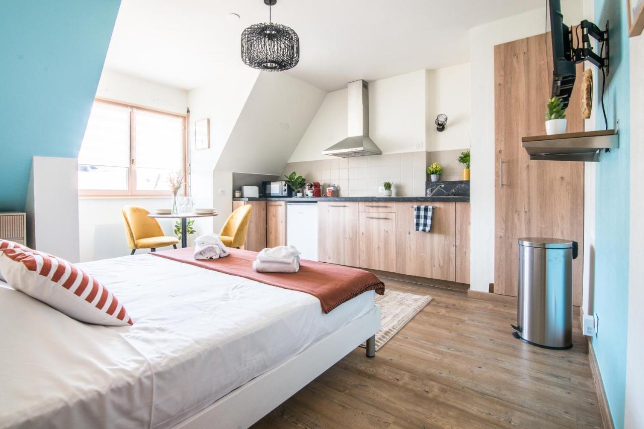 Appartamento Lumineux - L'Oasis - Parking Prive Strasburgo Esterno foto